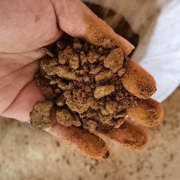 茶籽粉，茶籽饼！