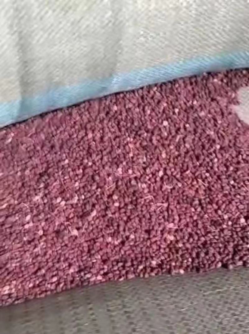 葡萄籽加工葡萄酒后未发酵的副产品，可加工葡萄籽油