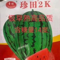 珍田2K西瓜种子抗病抗裂薄皮含糖度高产量高综合性强