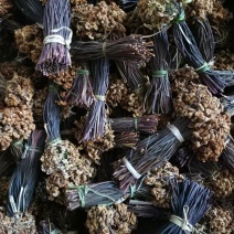 蕨菜干大量供应鲜货干货大量供应。