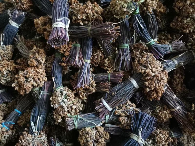 蕨菜干大量供应鲜货干货大量供应。