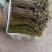 蕨菜干大量供应鲜货干货大量供应。
