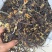 蕨菜干大量供应鲜货干货大量供应。