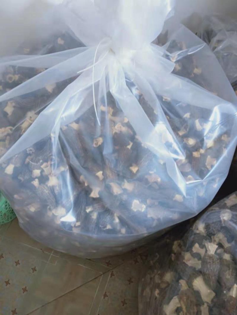 羊肚菌鲜美味美肉厚菌中之首看上的联系哦！