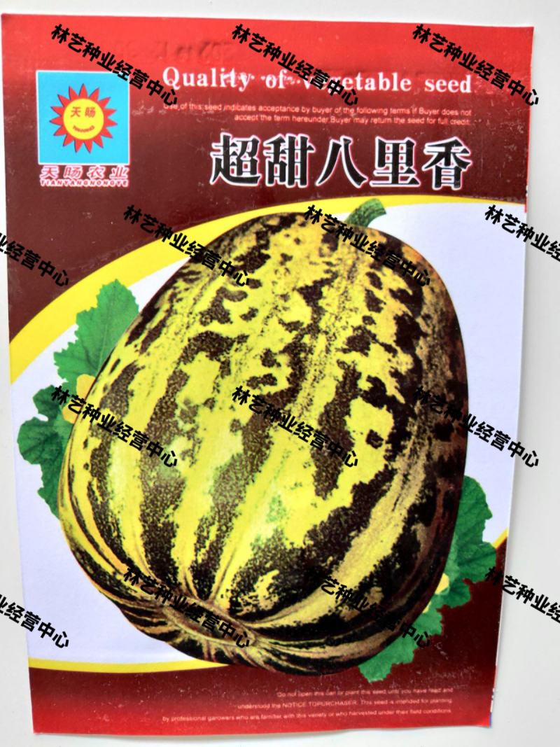 八里香甜瓜种子甜脆水果香瓜绿皮甜瓜春夏播种子家庭水果蔬菜