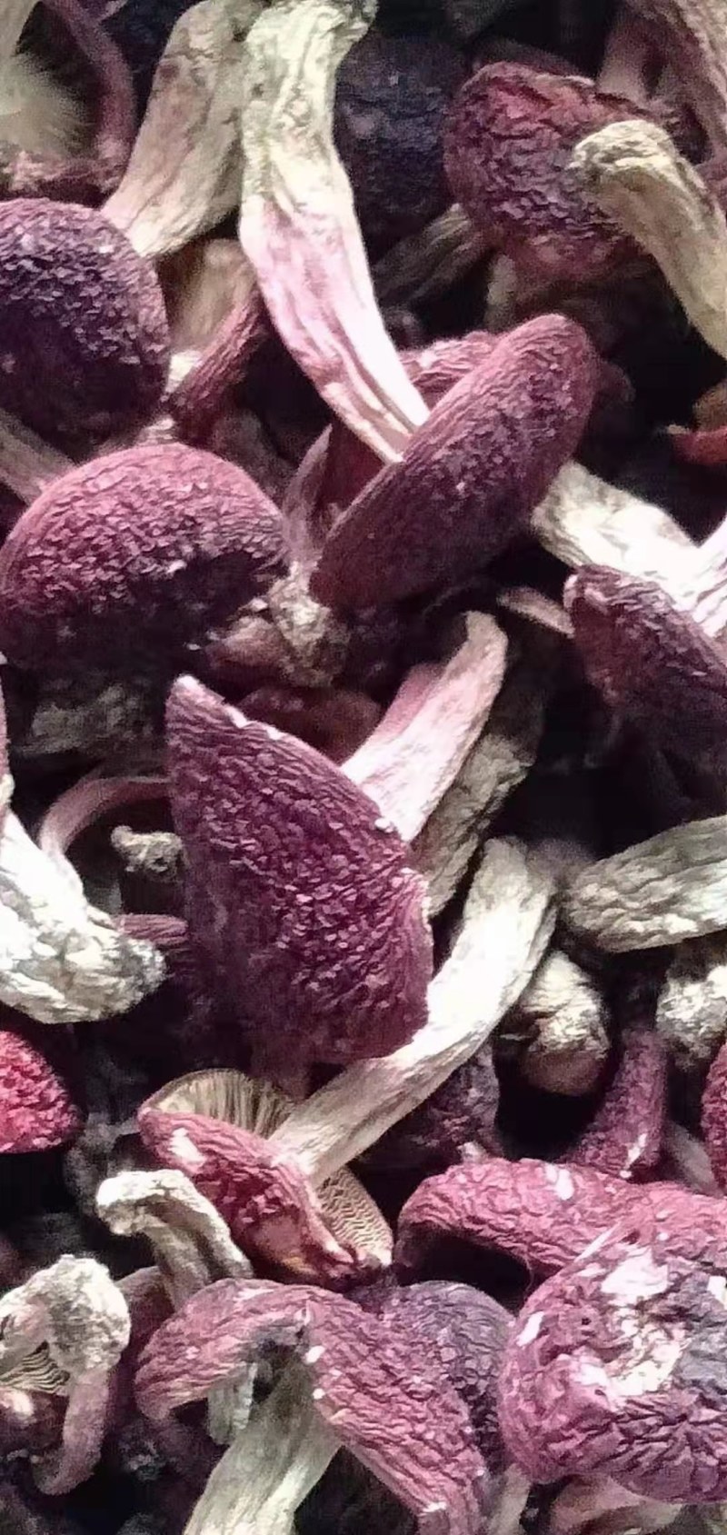 中药材智能烘干机豆角菊花金银花羊肚菌山药烘干机