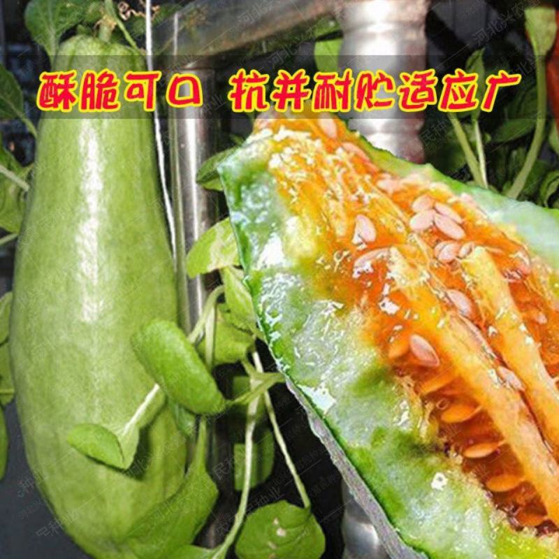 红瓤酥薄皮甜瓜种子香瓜种籽四季高产牛角青皮红壤酥瓜水果蔬