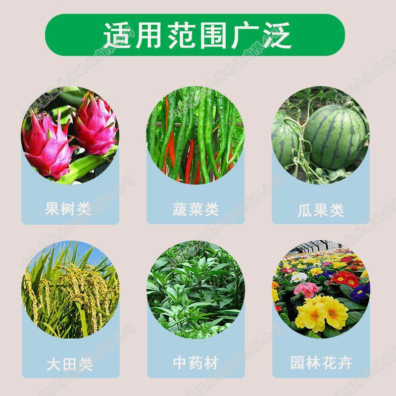 磷酸二氢钾叶面肥水溶肥99%纯度促花膨果增甜花卉果树通用