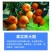 磷酸二氢钾叶面肥水溶肥99%纯度促花膨果增甜花卉果树通用