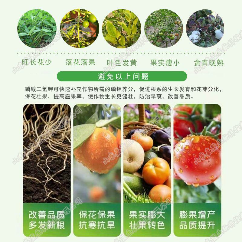 磷酸二氢钾叶面肥水溶肥99%纯度促花膨果增甜花卉果树通用