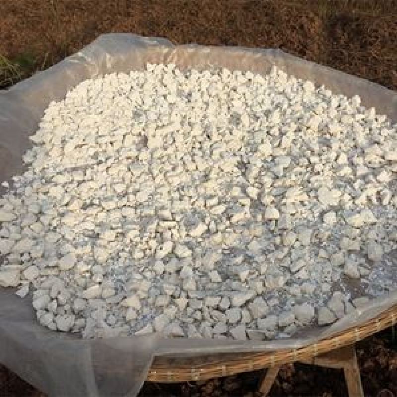 大量出售红薯粉面红薯粉面红薯粉面红薯粉面红薯粉面