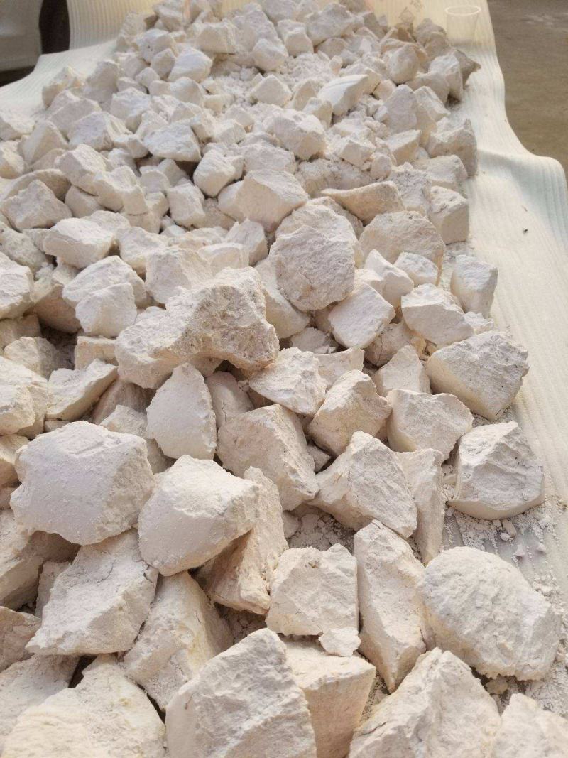 大量出售红薯粉面红薯粉面红薯粉面红薯粉面红薯粉面