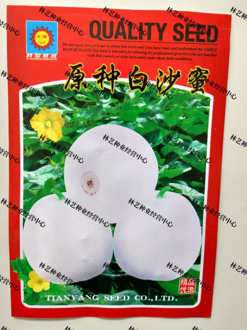 原种白沙蜜甜瓜种籽特大薄皮甜瓜白皮香瓜种子甜水果种孑原装