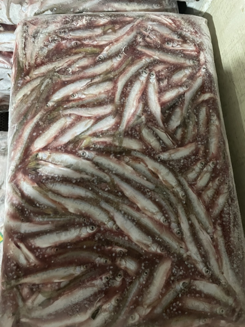 去内脏白条鱼大小都有质量稳定白条鱼翘嘴鱼不包邮需要算运费