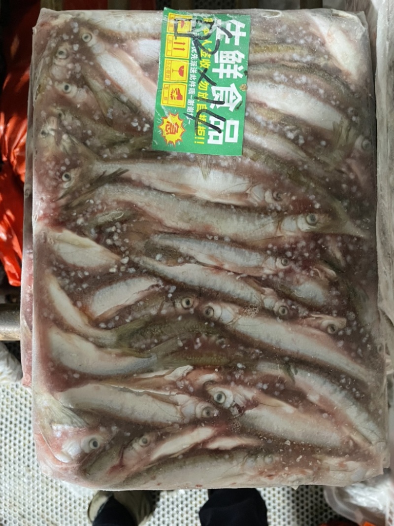 去内脏白条鱼大小都有质量稳定白条鱼翘嘴鱼不包邮需要算运费