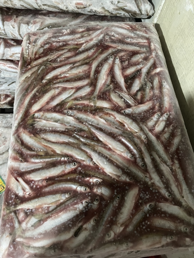 去内脏白条鱼大小都有质量稳定白条鱼翘嘴鱼不包邮需要算运费