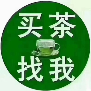 洞庭山碧螺春