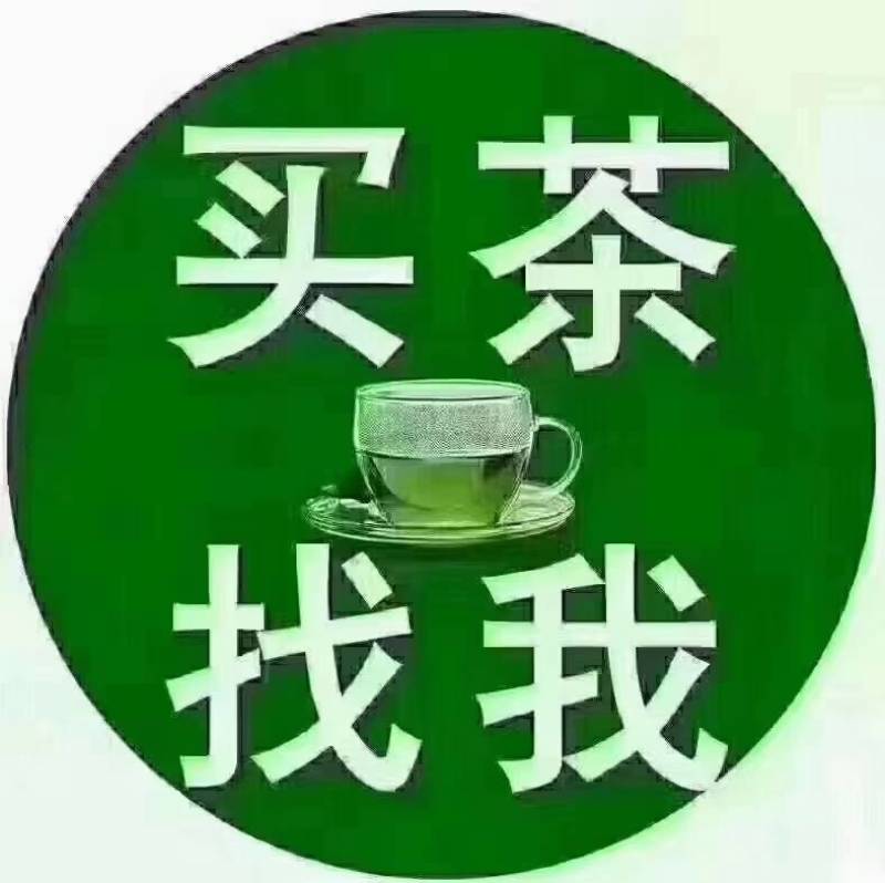 洞庭山碧螺春