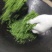 洞庭山碧螺春
