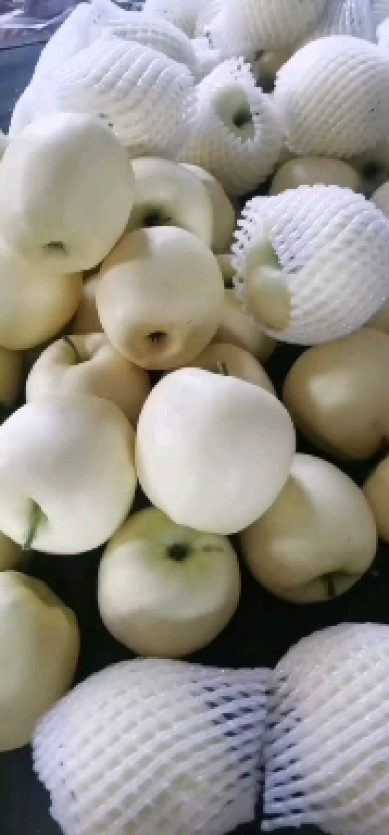 黄元帅二级果大量有货，人工挑选，价格低质量好