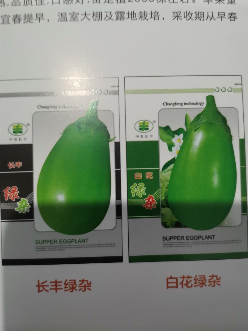 中国最高产圆茄，抗病强，口感好，产量高，早熟，