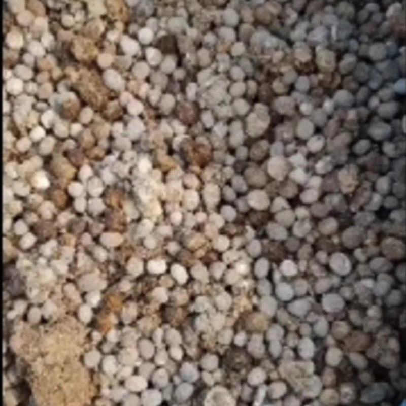大型种羊基地，自产自销发酵羊粪，出厂价供应，全国发货