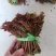 香椿芽露天香椿芽大量出售新泰市放城镇马家寨子，预售中