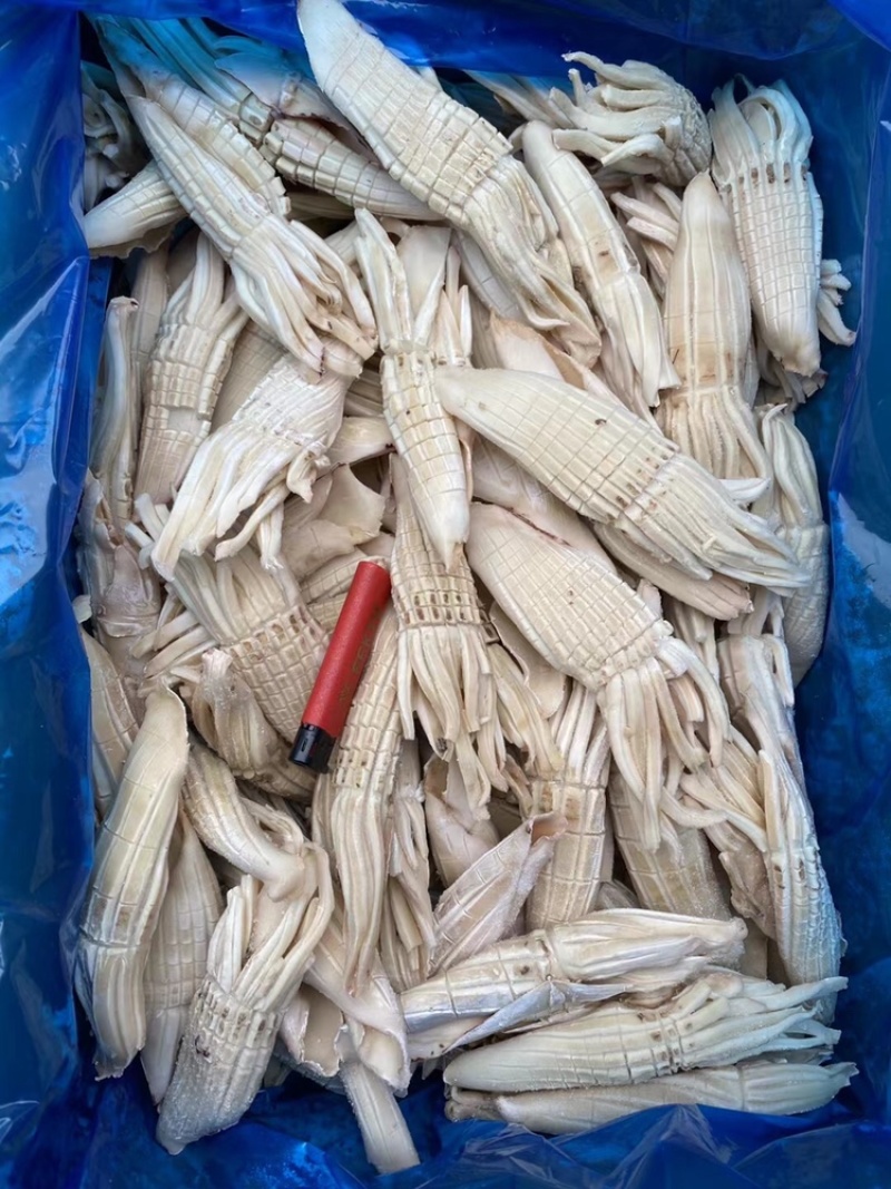 网红爆款火箭鱿鱼纯干冰去箱10斤装火锅汤锅