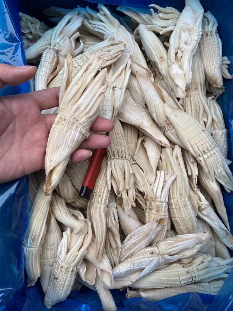 网红爆款火箭鱿鱼纯干冰去箱10斤装火锅汤锅