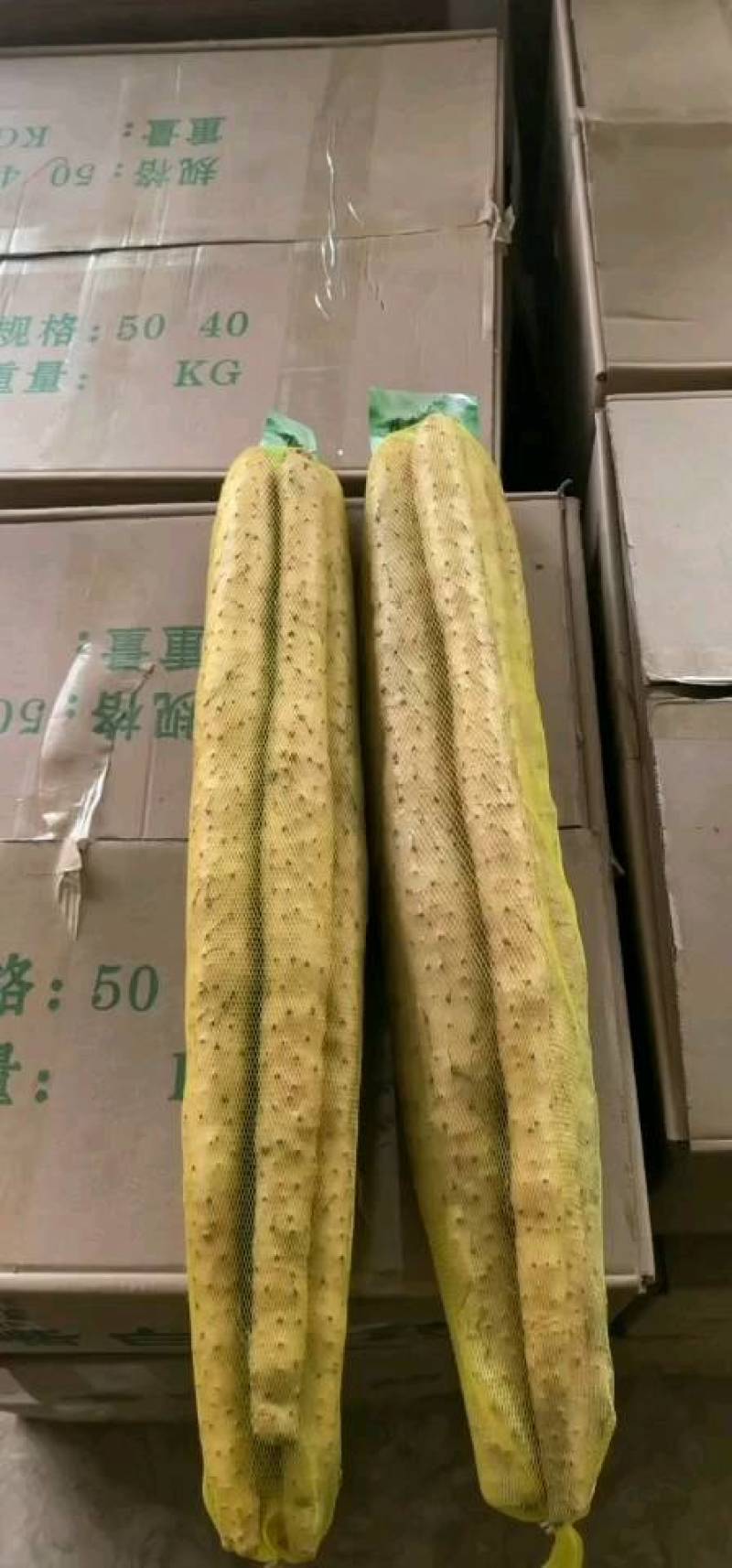 安平小白嘴山药，精品白山药网袋，产地直发，一手货源