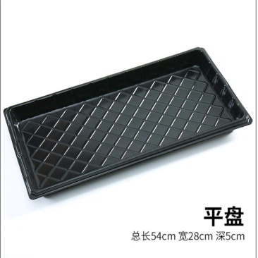 【强推】草莓穴盘，林木穴盘，厂家发货！一手货源，可致电！