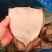 鱿鱼板！鲜冻品辣炒做麻辣香锅！烧烤摊饭店专用一手货源