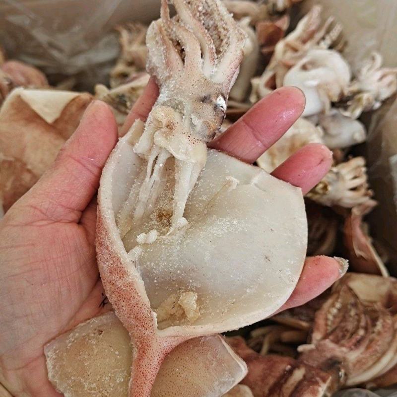 鱿鱼板！鲜冻品辣炒做麻辣香锅！烧烤摊饭店专用一手货源
