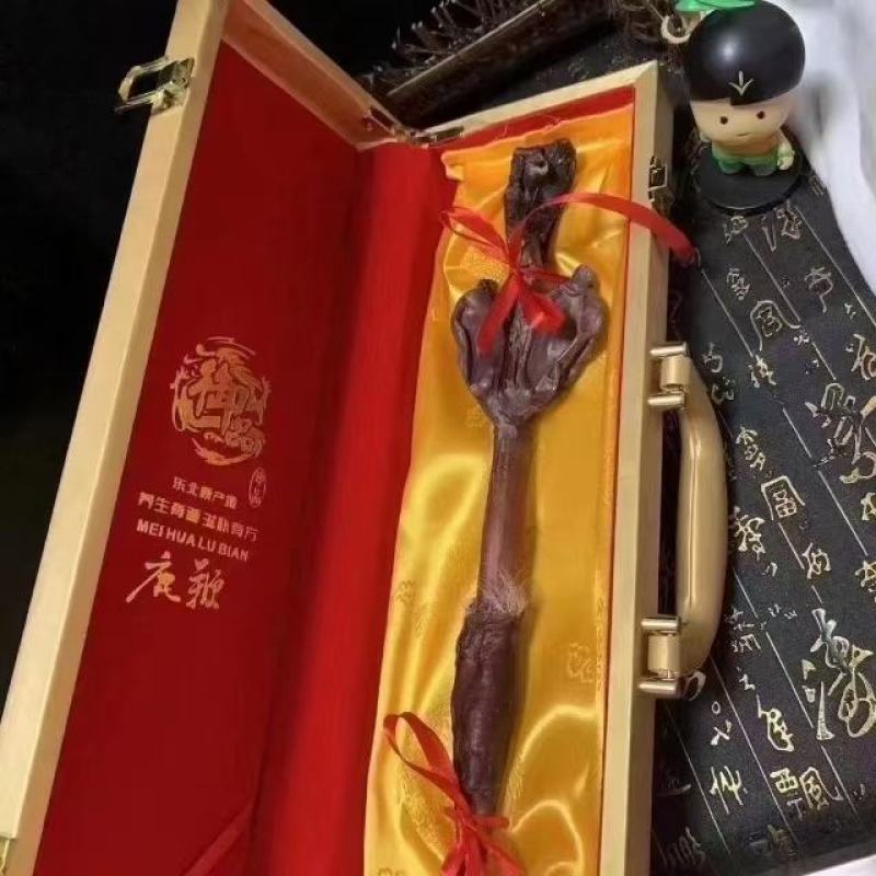鹿鞭鹿场直发一手货源切片吉林双阳鹿场直发鹿鞭整只干鲜