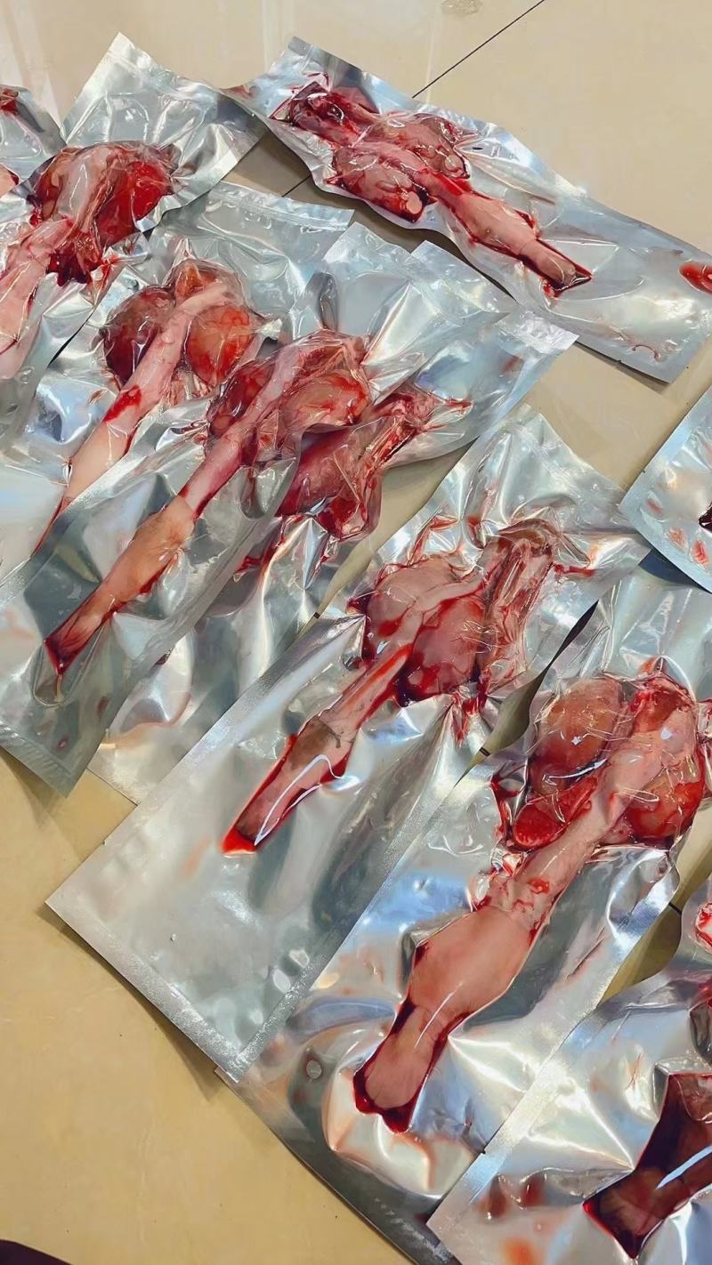 鹿鞭鹿场直发一手货源切片吉林双阳鹿场直发鹿鞭整只干鲜