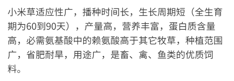 小米草种子，种子牧草种子生长快高产耐热耐寒种子批发