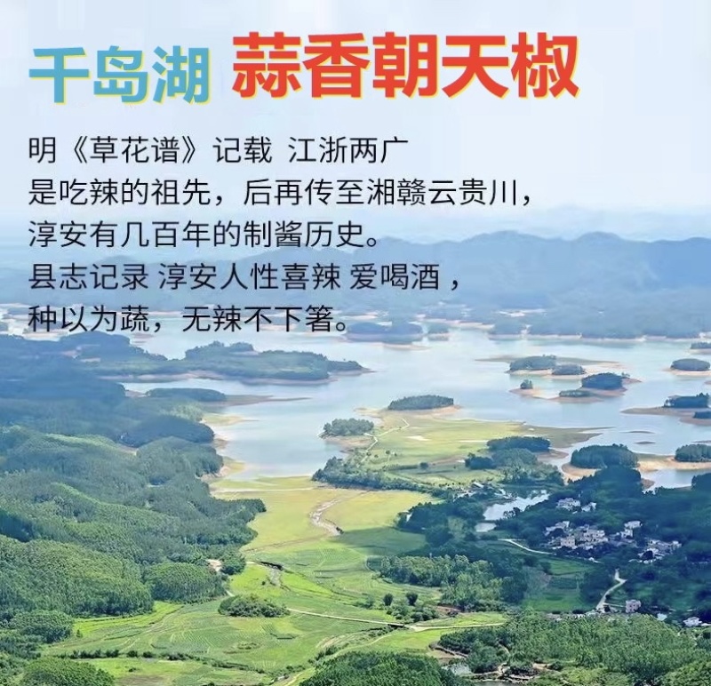 千岛湖蒜香朝天椒传统于艺蒜香调味蒸鱼辣酱无油饭店酒店餐饮用