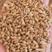 红小麦，国产与进口，强筋糸列品种，可磨面和饲料