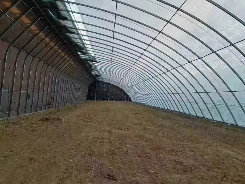 大棚钢管大棚管大棚骨架厂家直发价格优惠