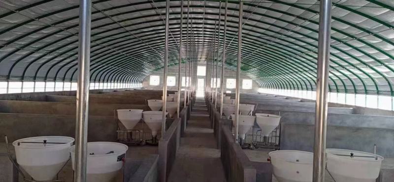 大棚钢管大棚管大棚骨架厂家直发价格优惠
