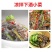 鱼皮肉质鲜美，Q弹，含丰质优价廉老板们的赚钱神器