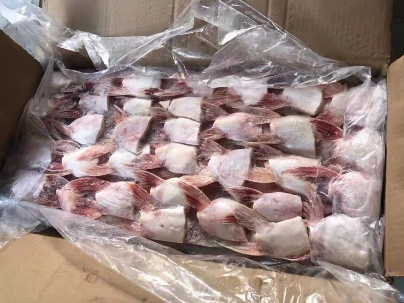 巴沙鱼鳍肉质鲜美质优价廉老板们的赚钱神器