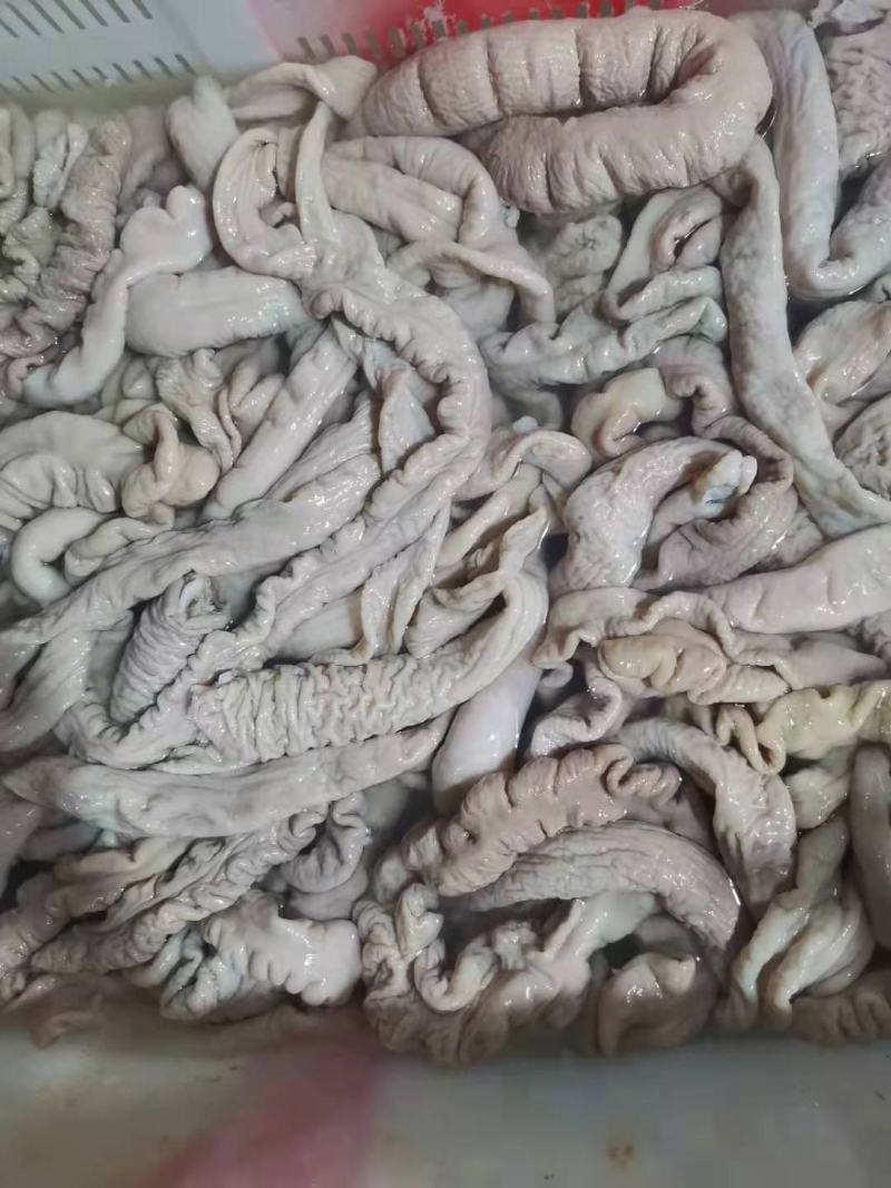 各种猪副产品