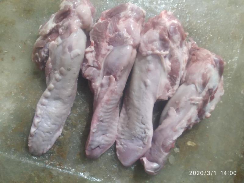 各种猪副产品