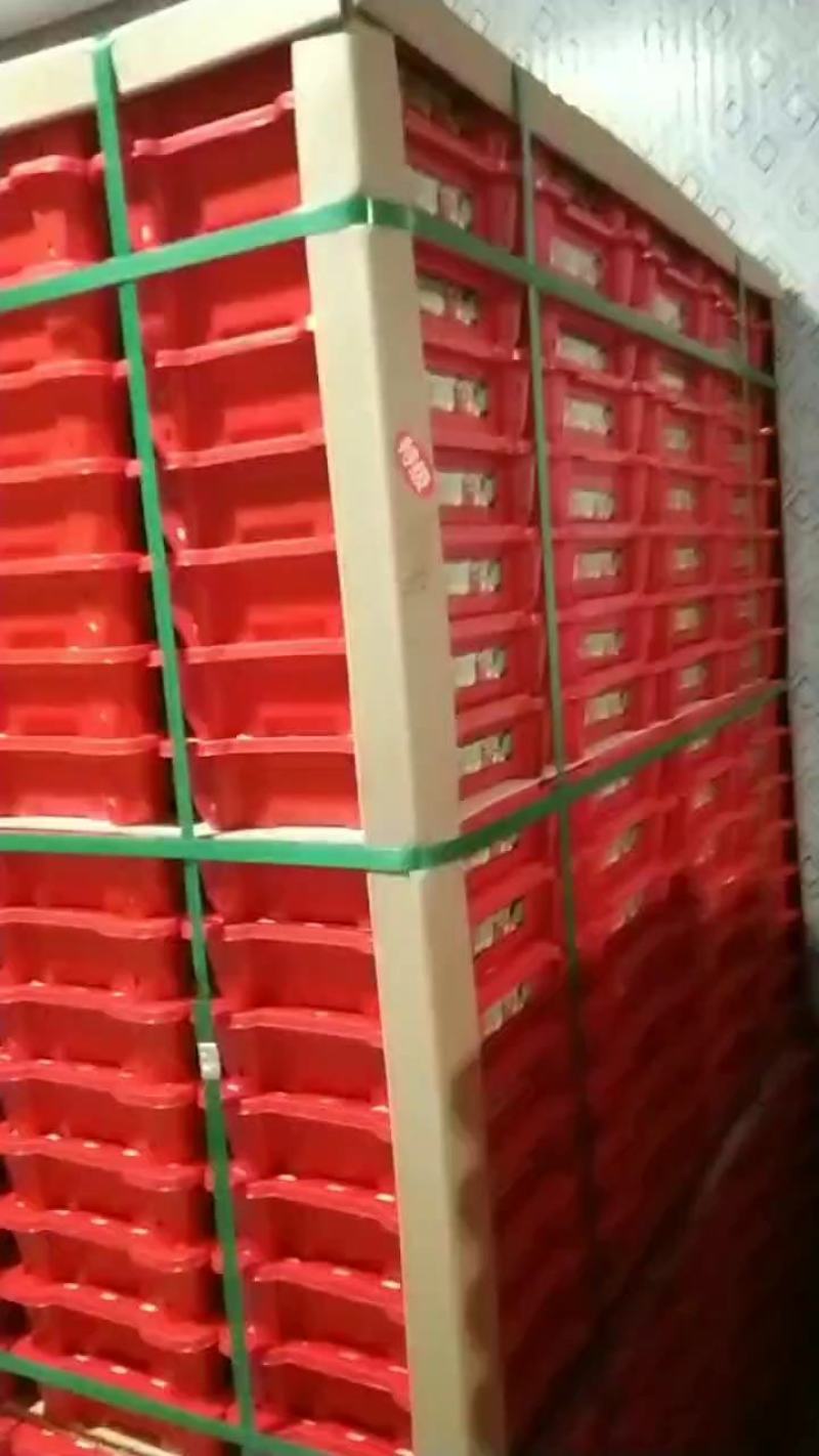 广东电白千禧圣女果货源充足招商，电商，市场，社区团购代发
