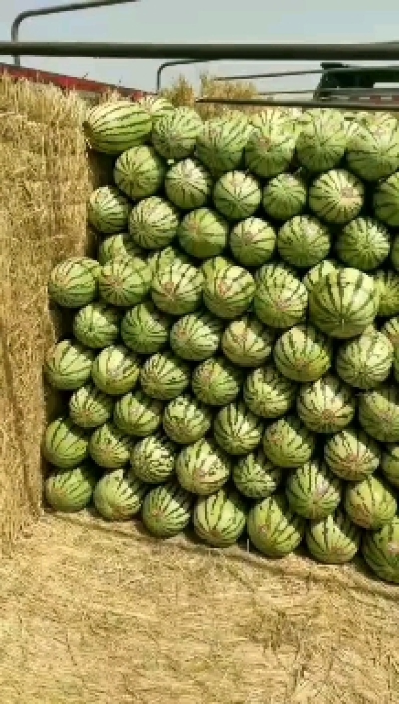 宁夏硒砂瓜《应季水果》产地直供保质保量可视频看货