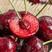 大樱桃，山东大樱桃大量上市，支持全国各地发货。