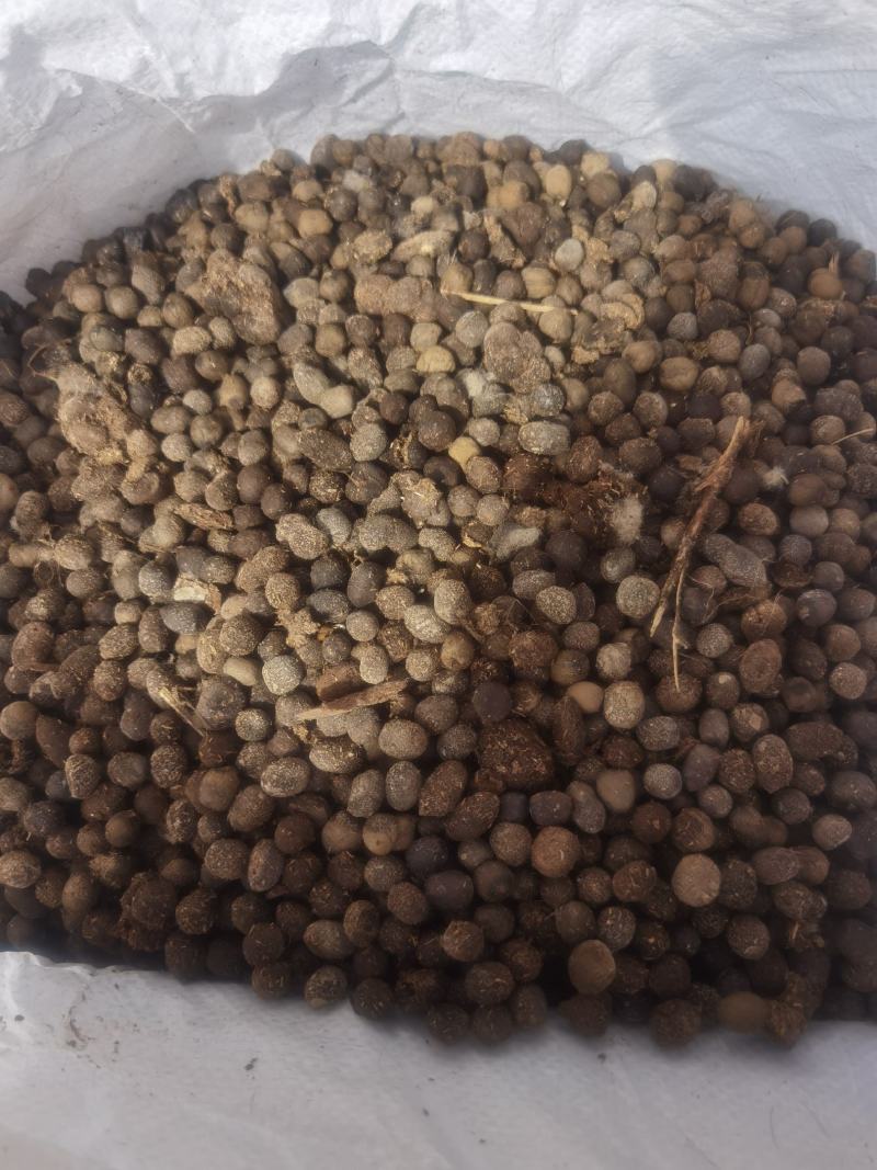 自然发酵纯羊粪蛋，产品用途果园，蔬菜大棚，苗木花卉绿植