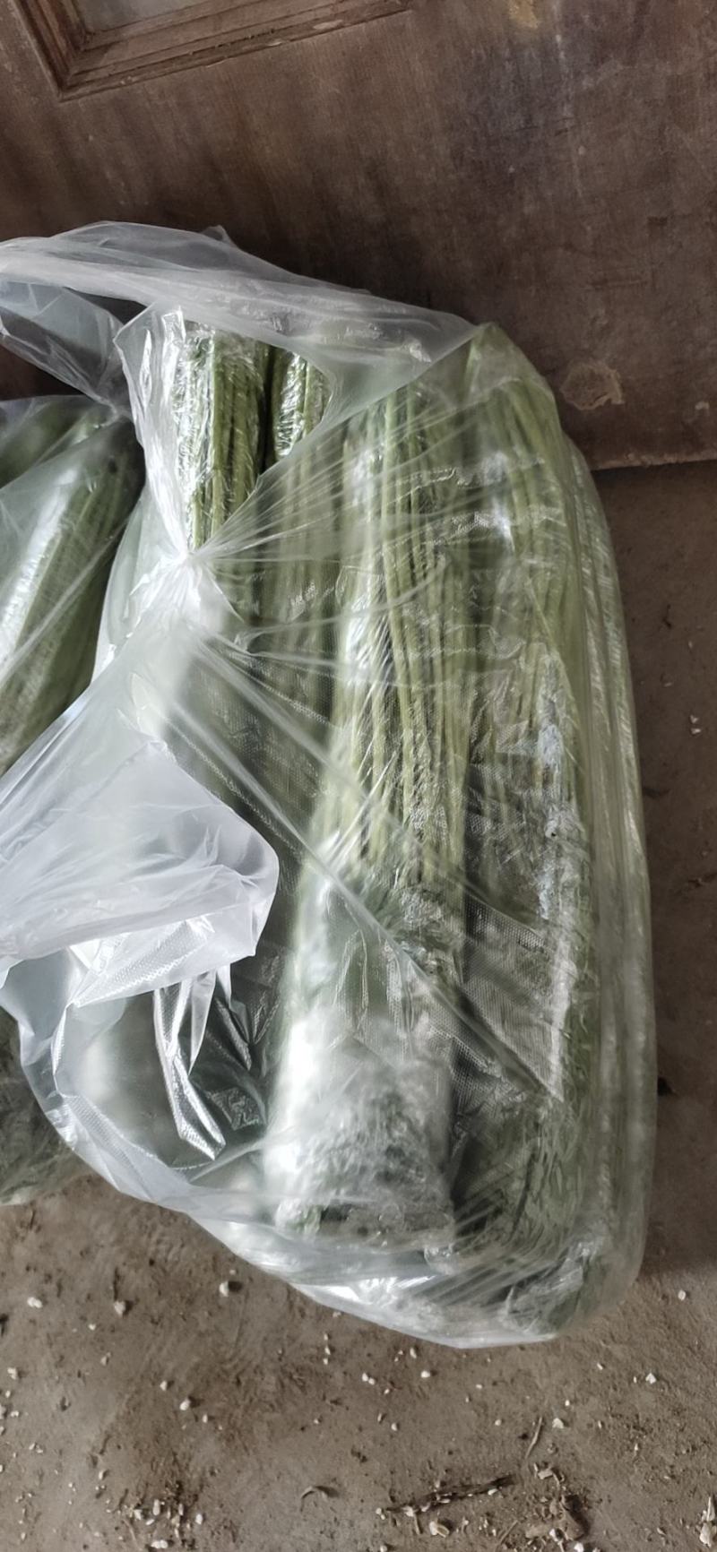 【精品芦篙】诚信商家地头直销去根去叶新鲜现摘品质佳