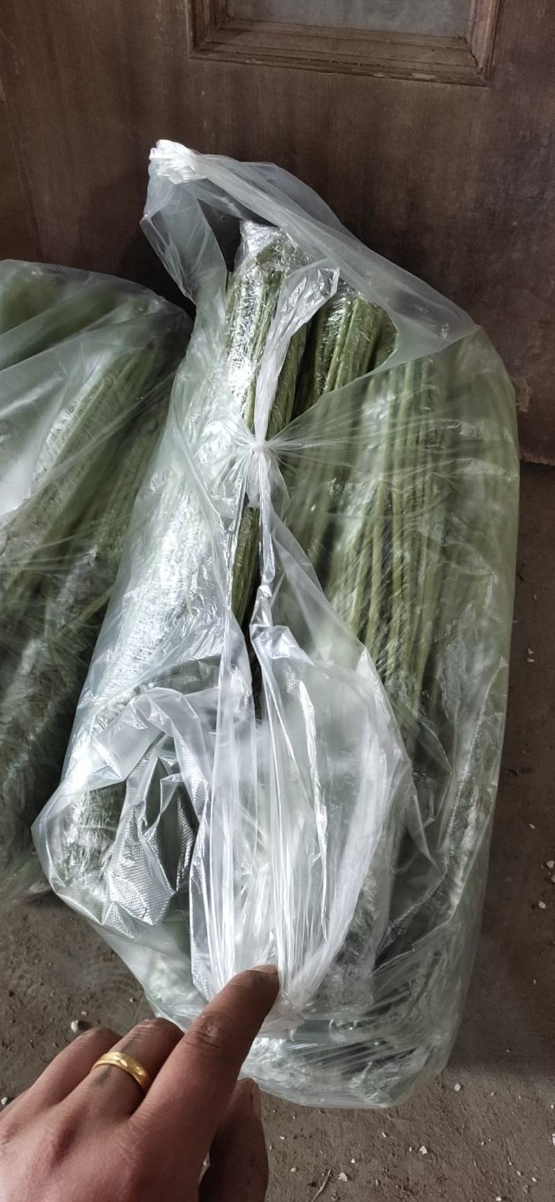 【精品芦篙】诚信商家地头直销去根去叶新鲜现摘品质佳